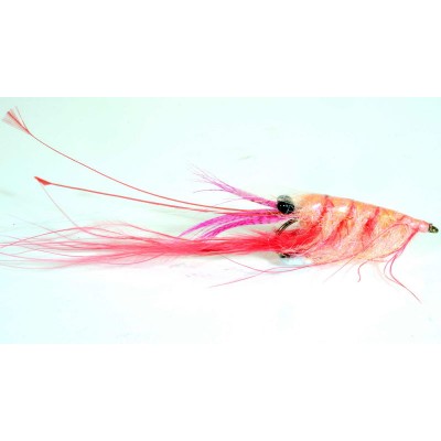 Crangon Shrimp Pink Rejeflue